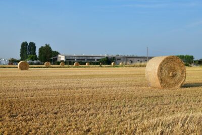 Blé dur : les cours repartent en octobre, ce que cela peut changer pour vos pâtes